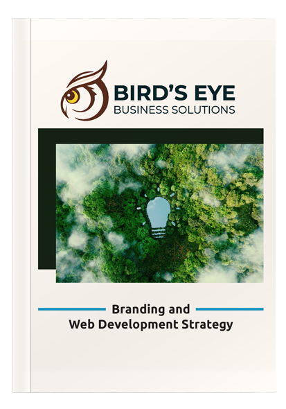Birds eye business branding\ cover | Joty Dosanjh Designs Print copy of Birds Eye Business Solutions Branding Guidelines